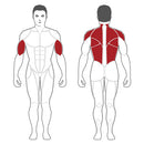 Steelflex Plade Load 2 Lat Pull Down/Back Row Machine - PL2200-BR