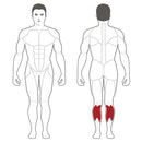 Steelflex Plade Load Seating Calf Press PLSC-BR